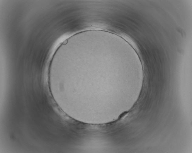 X0000112821104200910021156