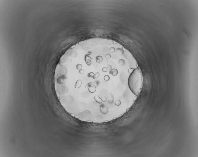 X0000112821105200910021156