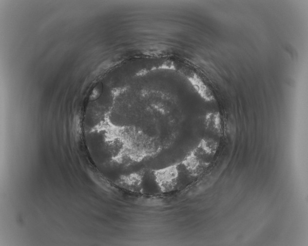 X0000112821106200910021156