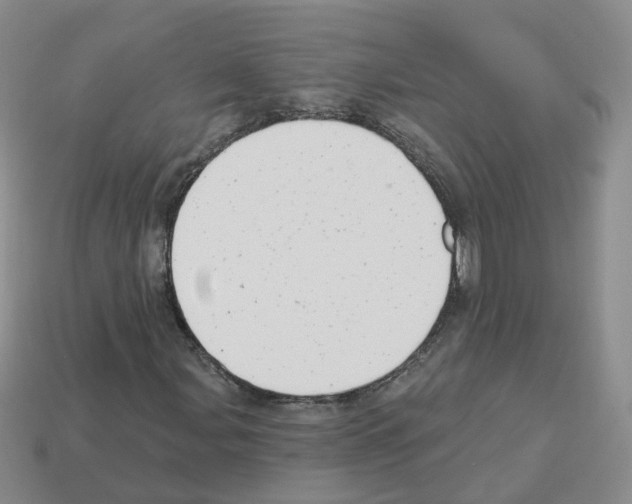 X0000112821107200910021156