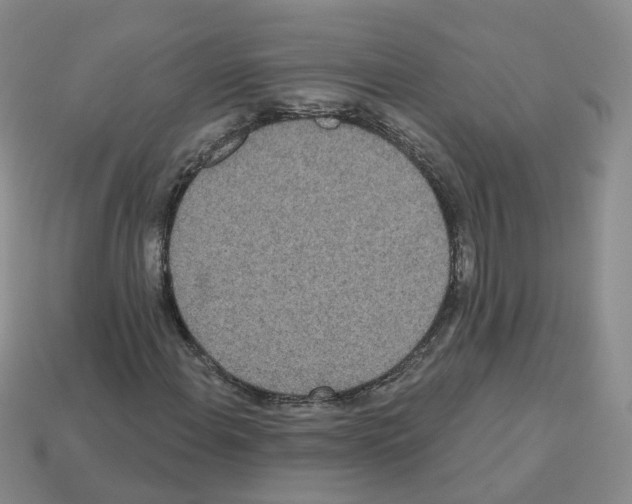 X0000112821108200910021156