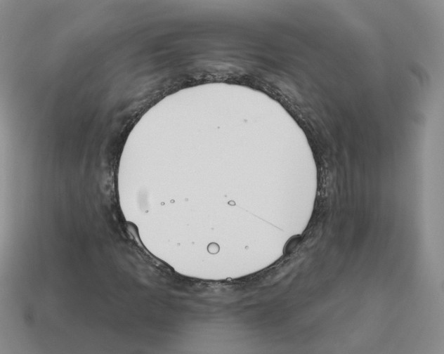 X0000112821109200910021156