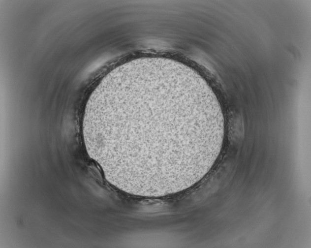 X0000112821112200910021156