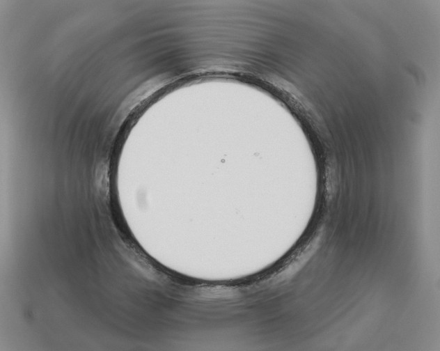 X0000112821113200910021156