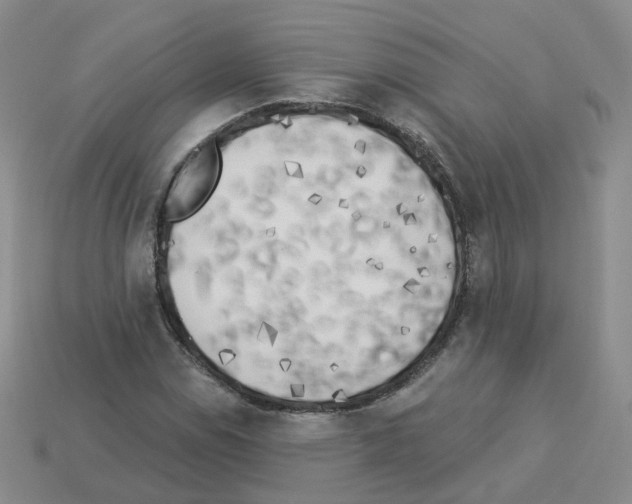 X0000112821114200910021156