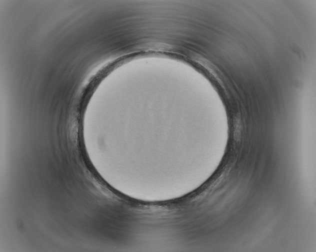 X0000112821115200910021156