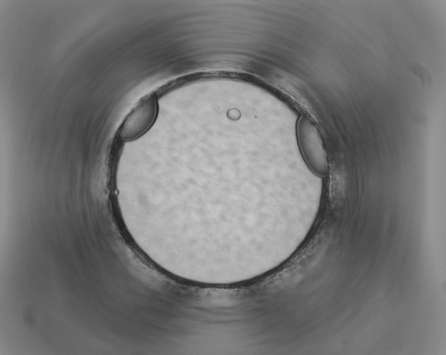 X0000112821116200910021156