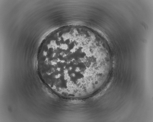 X0000112821117200910021156