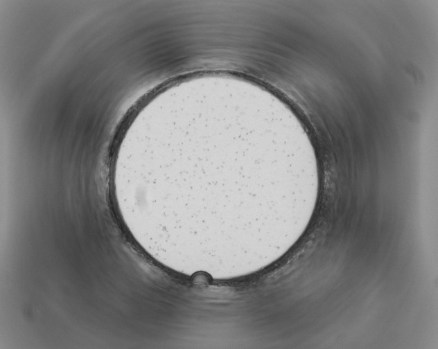 X0000112821119200910021156