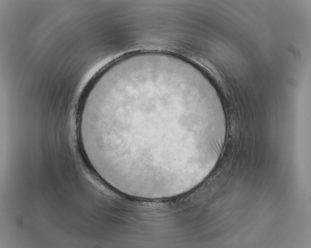 X0000112821120200910021156