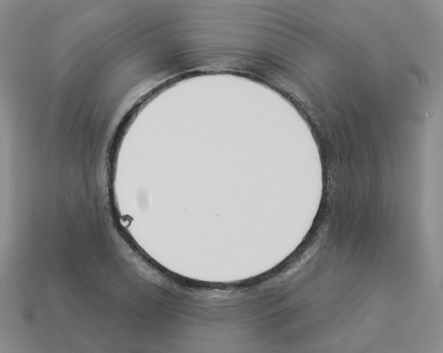 X0000112821122200910021156