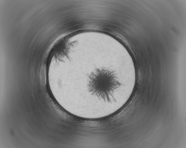 X0000112821123200910021156