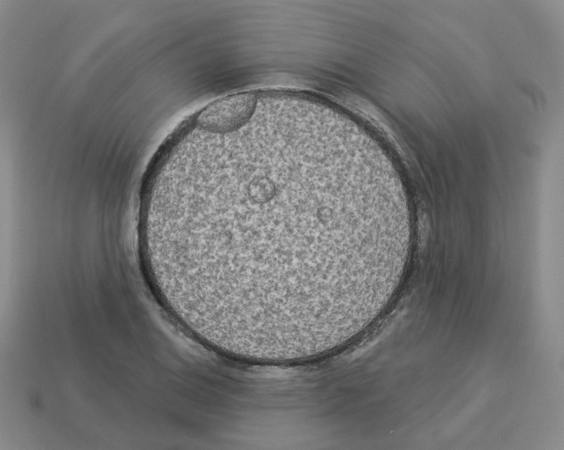 X0000112821124200910021156