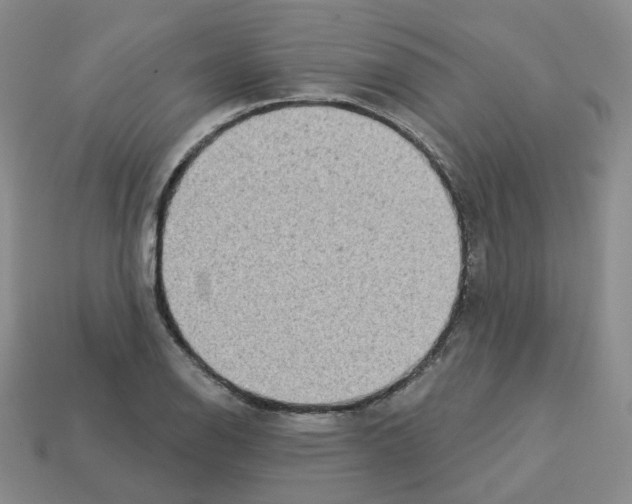 X0000112821126200910021156