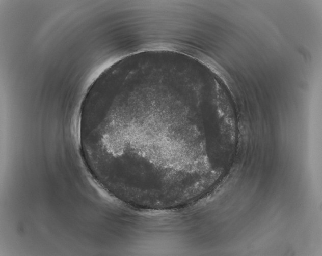 X0000112821127200910021156