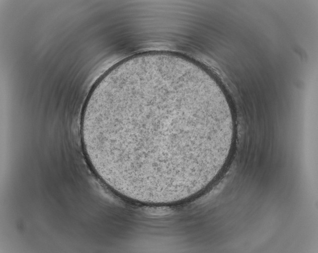 X0000112821129200910021156