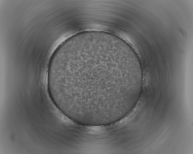 X0000112821130200910021156