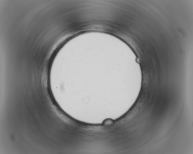 X0000112821131200910021156