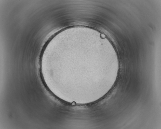 X0000112821133200910021156