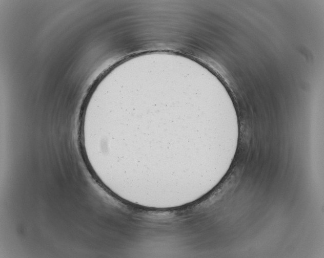 X0000112821135200910021156