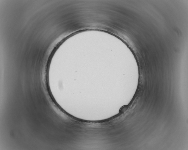 X0000112821136200910021156