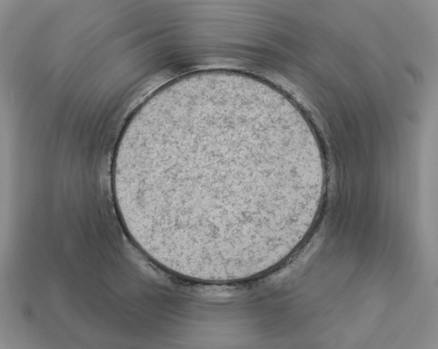 X0000112821137200910021156