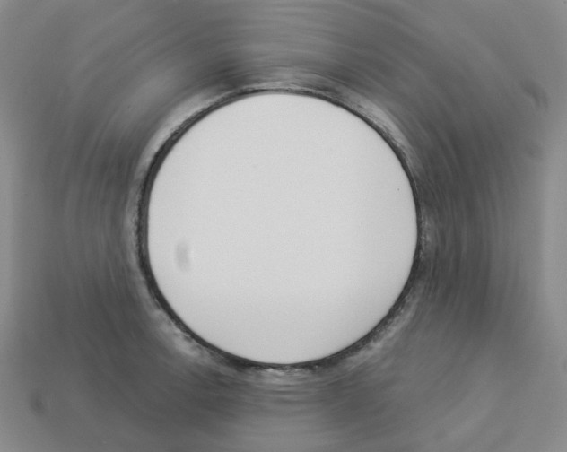 X0000112821138200910021156