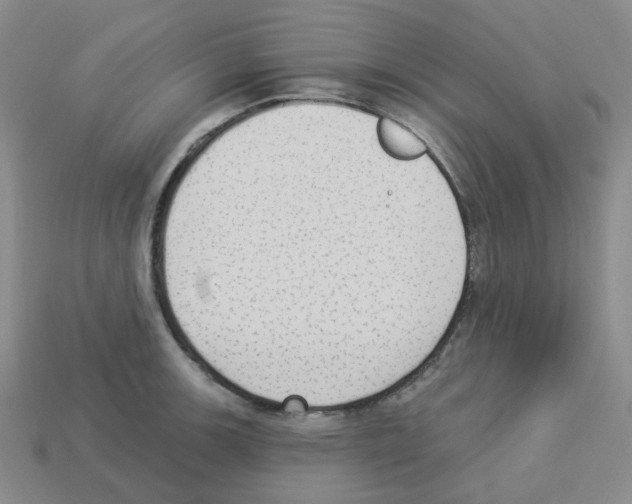 X0000112821139200910021156