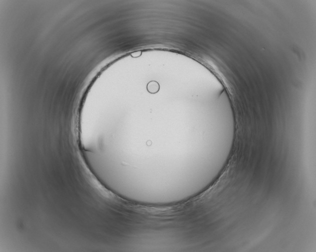 X0000112821140200910021156