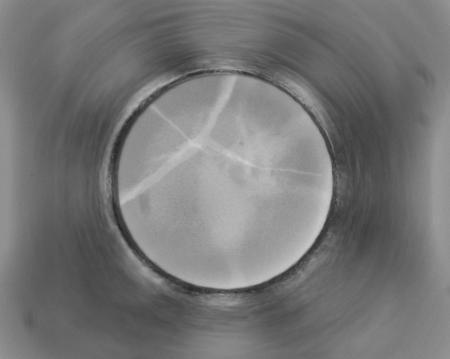 X0000112821141200910021156