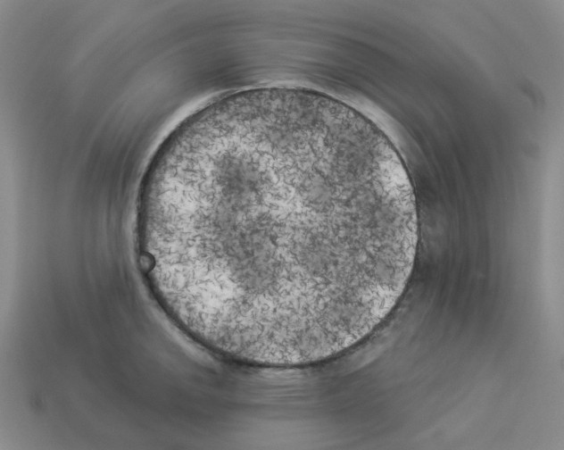 X0000112821142200910021156