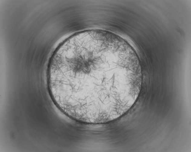 X0000112821143200910021156