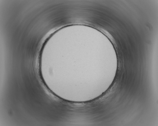 X0000112821144200910021156