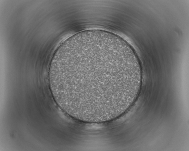 X0000112821145200910021156