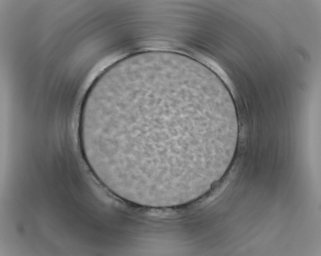 X0000112821146200910021156