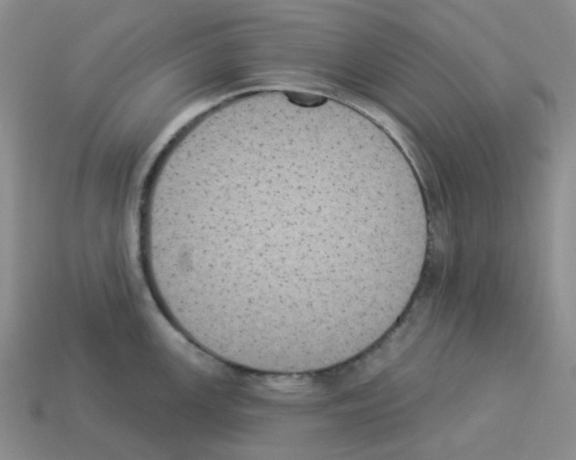 X0000112821147200910021156