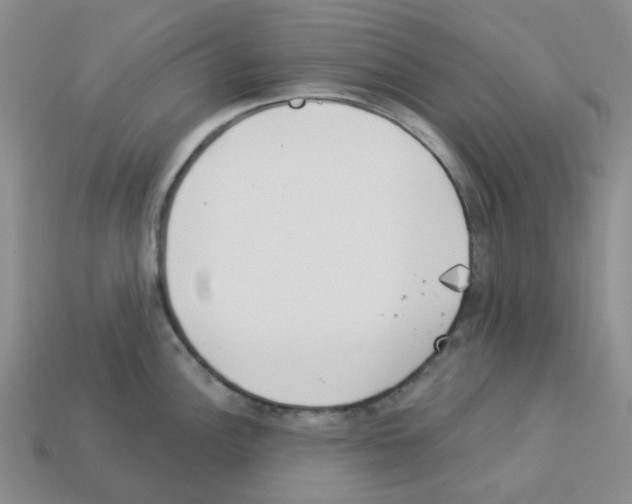 X0000112821148200910021156