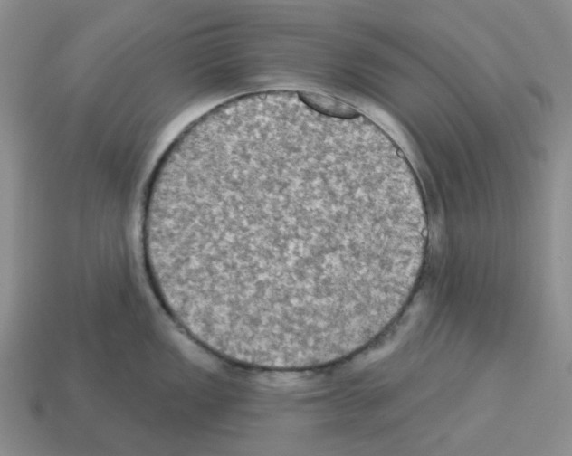 X0000112821149200910021156