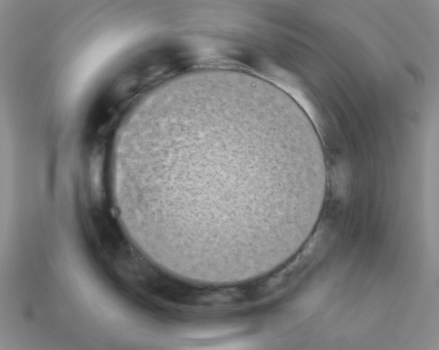 X0000112821150200910021156