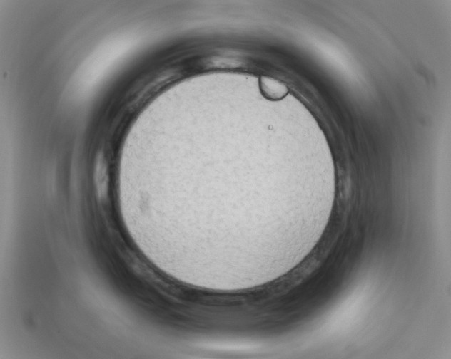 X0000112821151200910021156