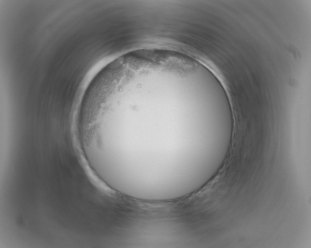 X0000112821152200910021156