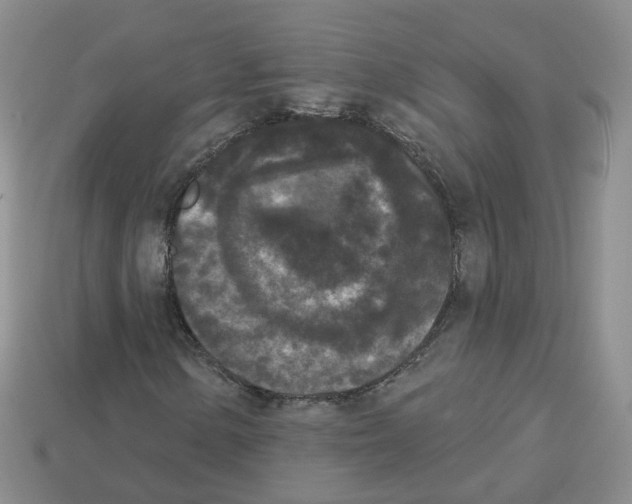 X0000112821154200910021156