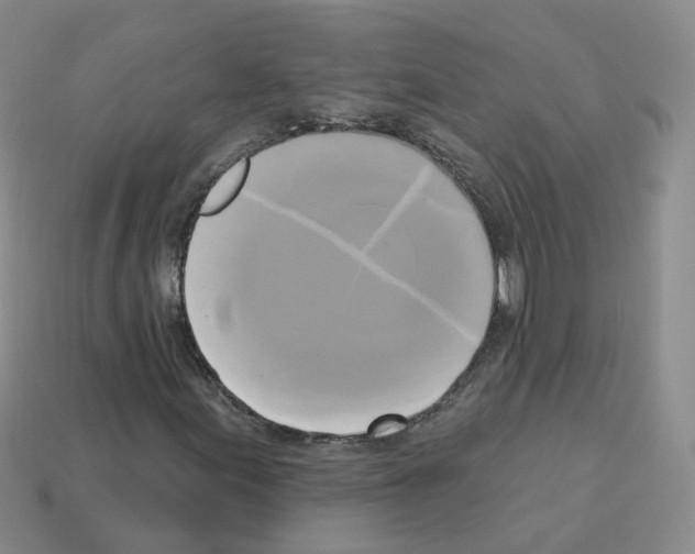 X0000112821155200910021155