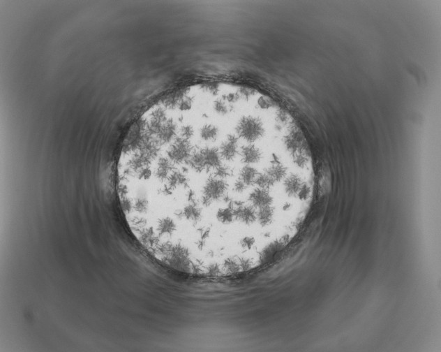 X0000112821156200910021155