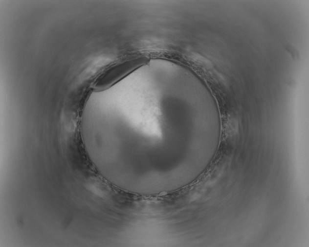 X0000112821157200910021155