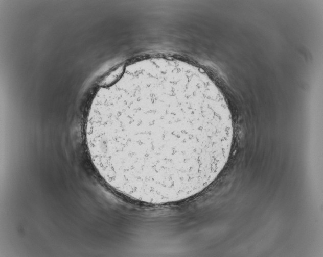 X0000112821159200910021155