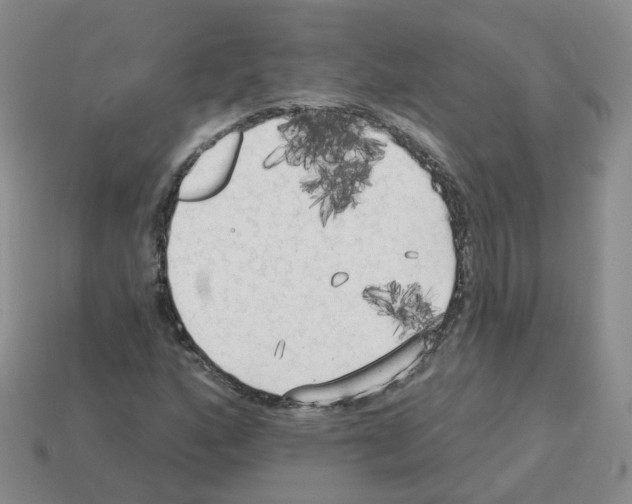 X0000112821160200910021155