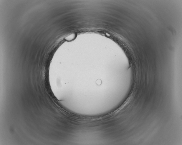 X0000112821161200910021155