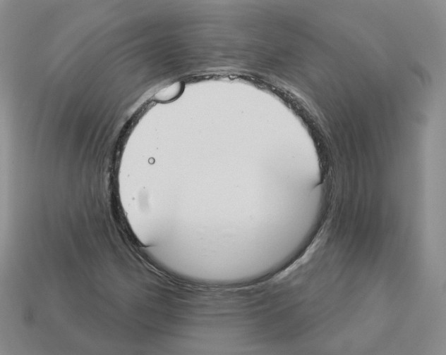 X0000112821162200910021155