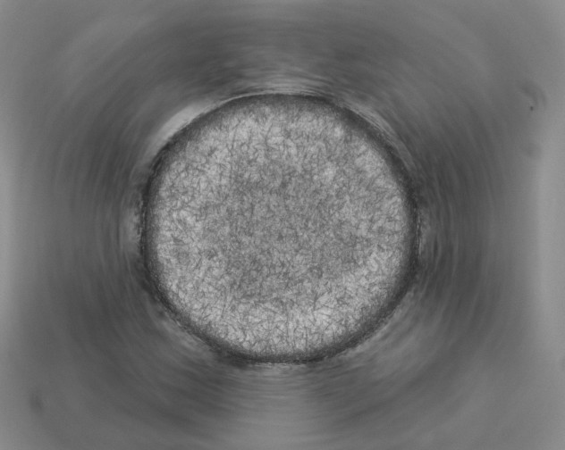 X0000112821163200910021155